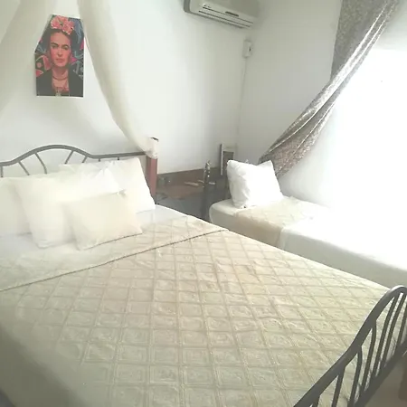 ホテル Alacati Frida Çeşme