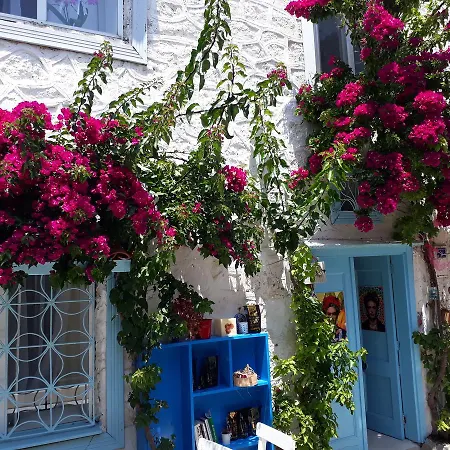 Alacati Frida *
